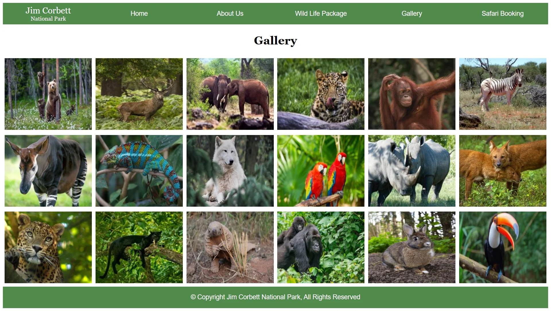 Animal Park Gallery Page